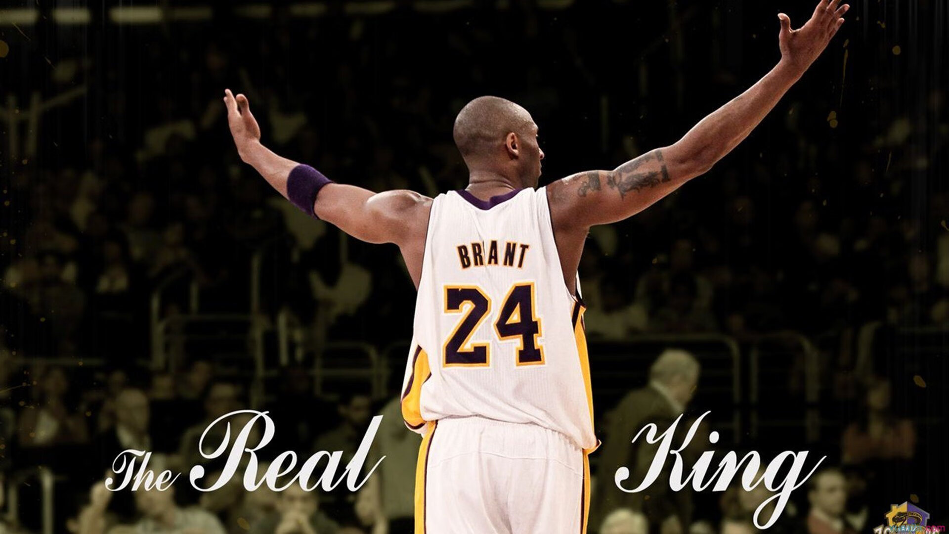 战术革命,新西兰式高压如何击溃皇家体系,加维防守哲学启示录